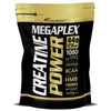 MEGAPLEX CREATINE POWER 10 LBS